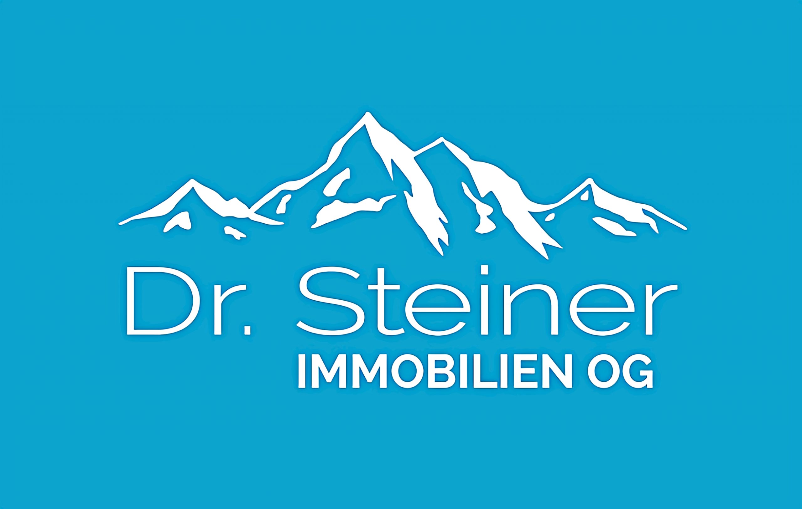 Dr. Steiner Immobilien OG